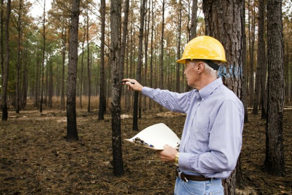 Forest and Conservation Worker